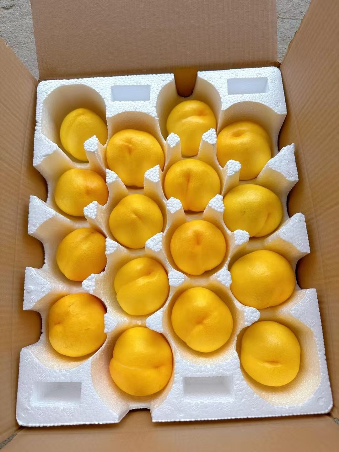 胡纪凯品牌货源