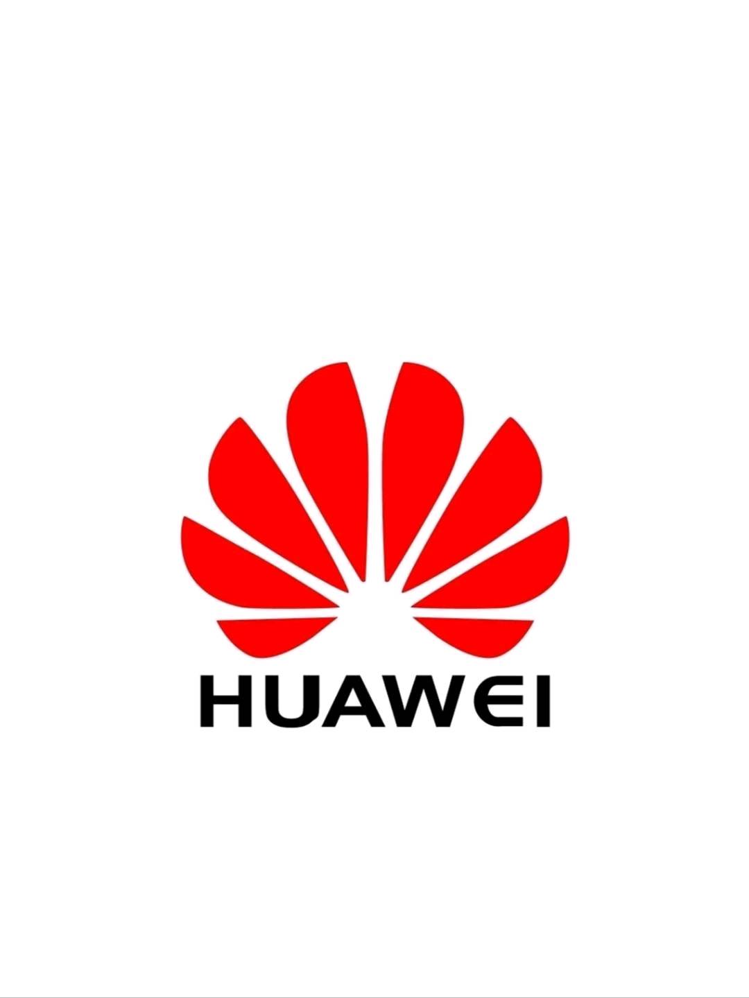 李先生地推项目华为元服务第二期地推项目，招业务，团队长