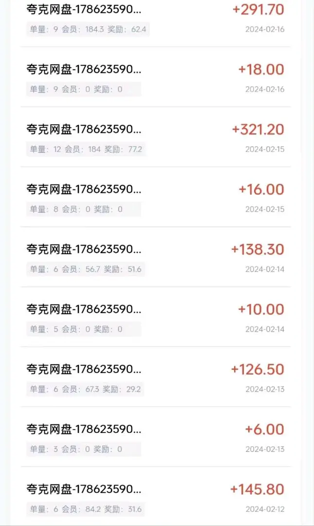 朱女士地推项目