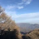 李先生