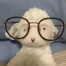 u客直谈实名认证王金