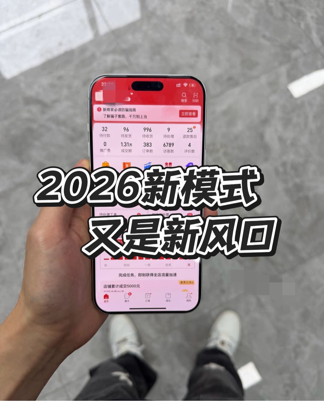 武先生找合伙人拼多多店铺联营合作，日结分成，成年即可参与，合作方拿9成收益