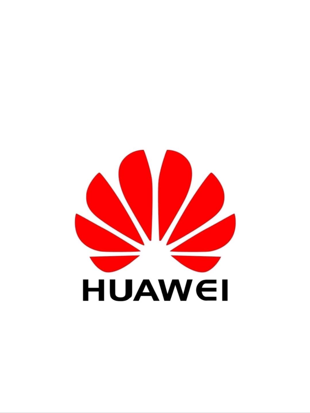 许先生地推项目华为元服务，本地生活团购