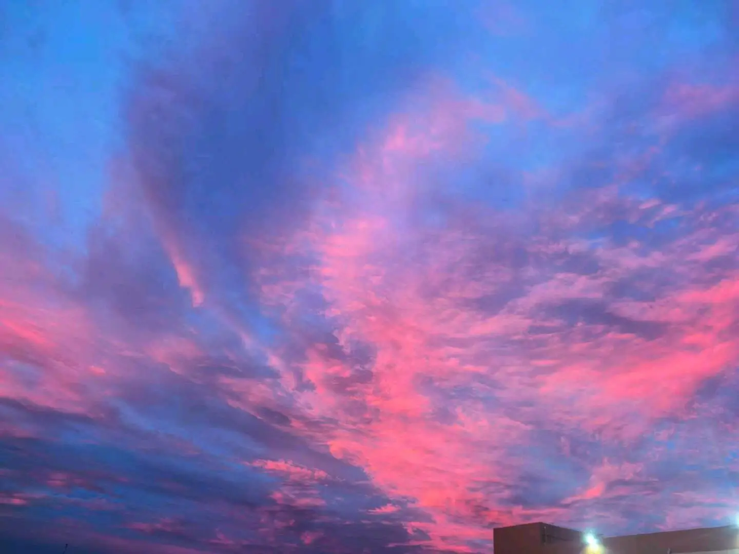 张俊