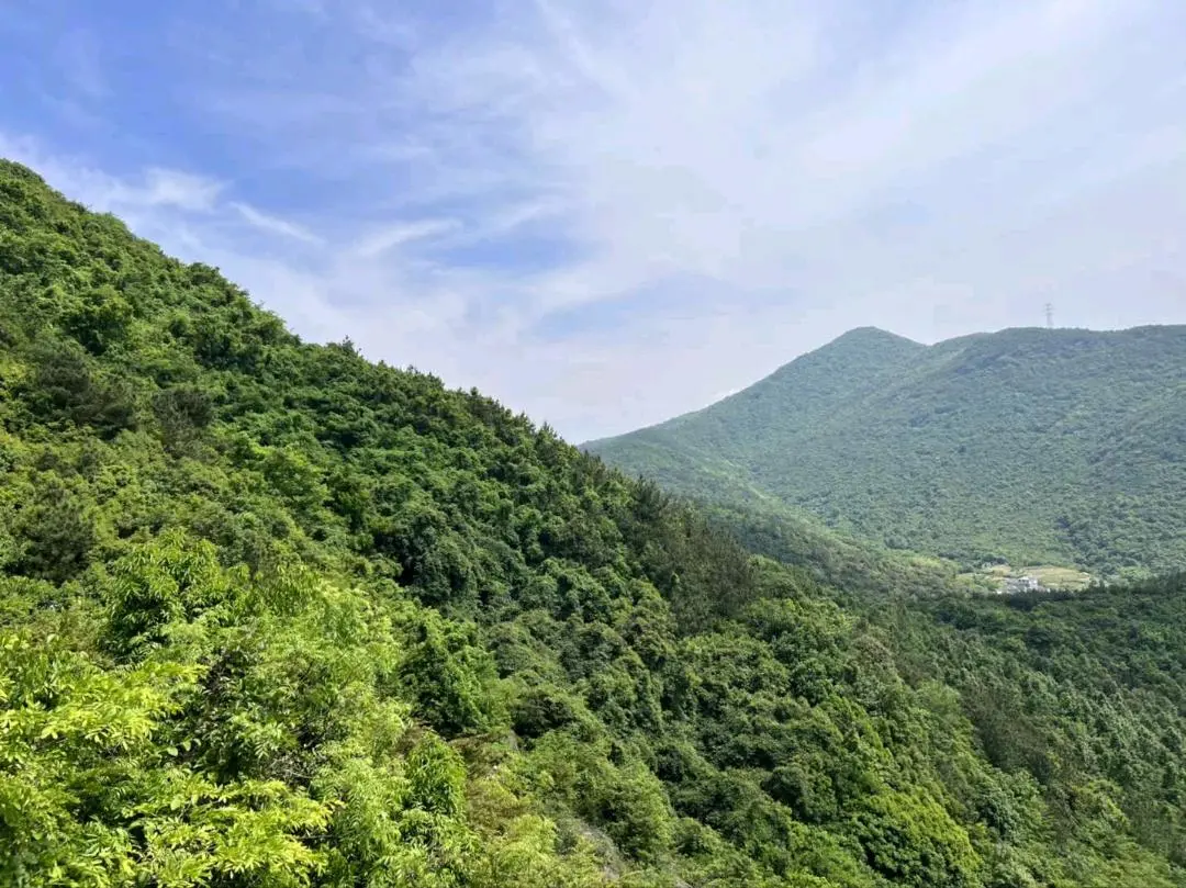 u客直谈实名认证纪先生