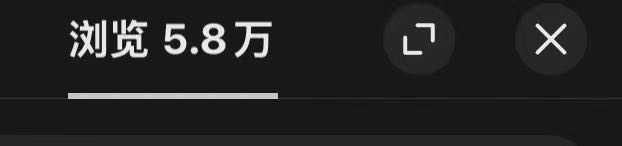 伊女士找合伙人