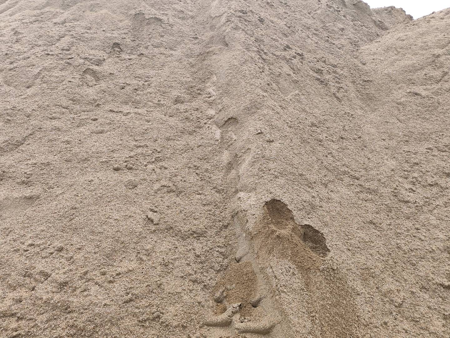 刘世超其他供需大量优质河砂出售,发全国可发,火车,船运