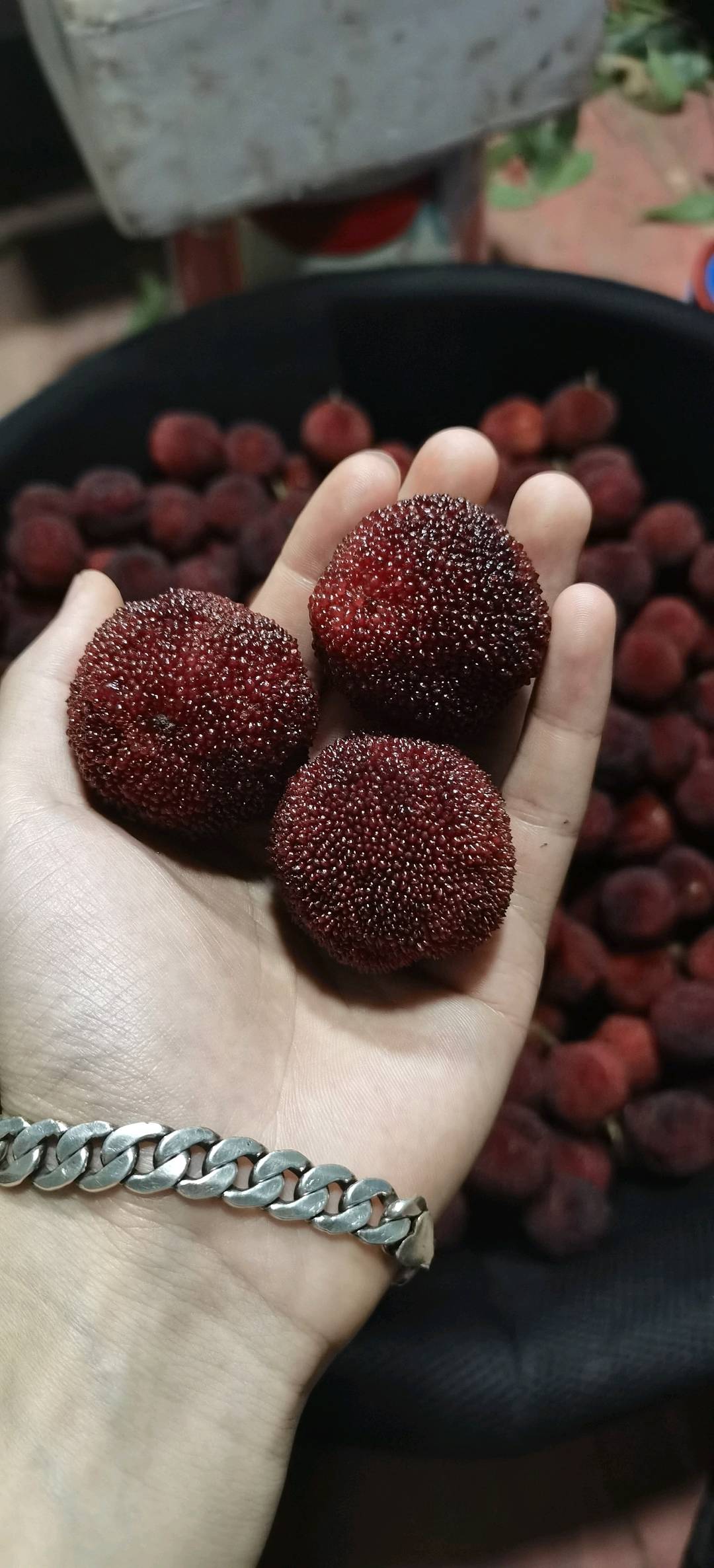 郑迪超品牌货源仙居东魁杨梅种植户