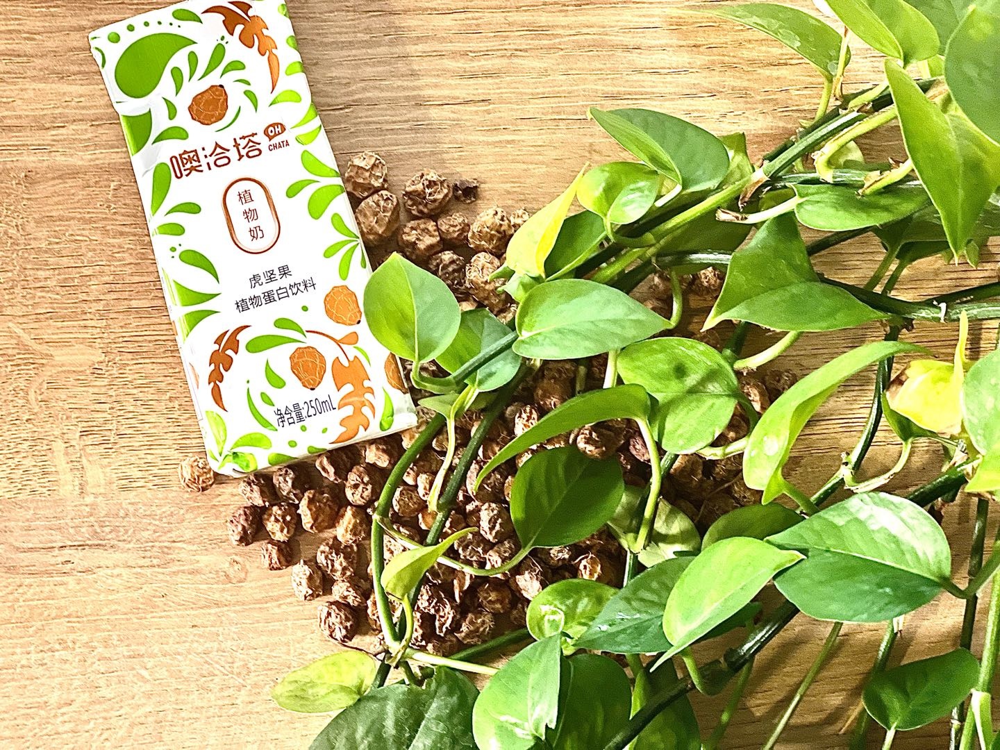 赵先生提供高端饮品 虎坚果植物蛋白饮品 找有资源的经销商