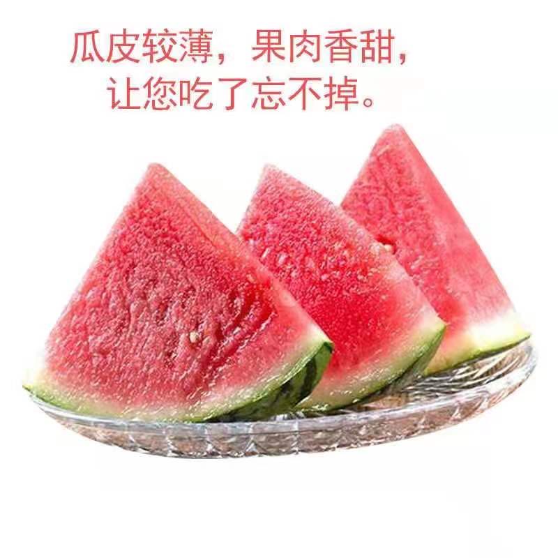 卢宝龙品牌货源本人常年供应全国各地大棚美都西瓜，有需要的客户可通过平台和我联系