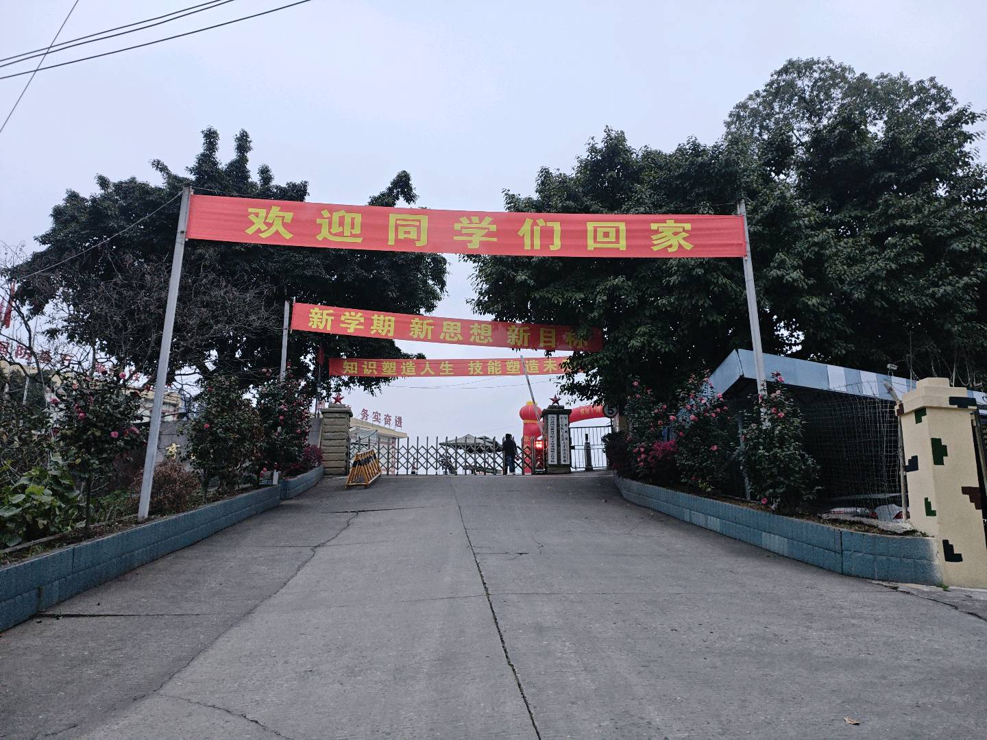 王峰招生区域代理