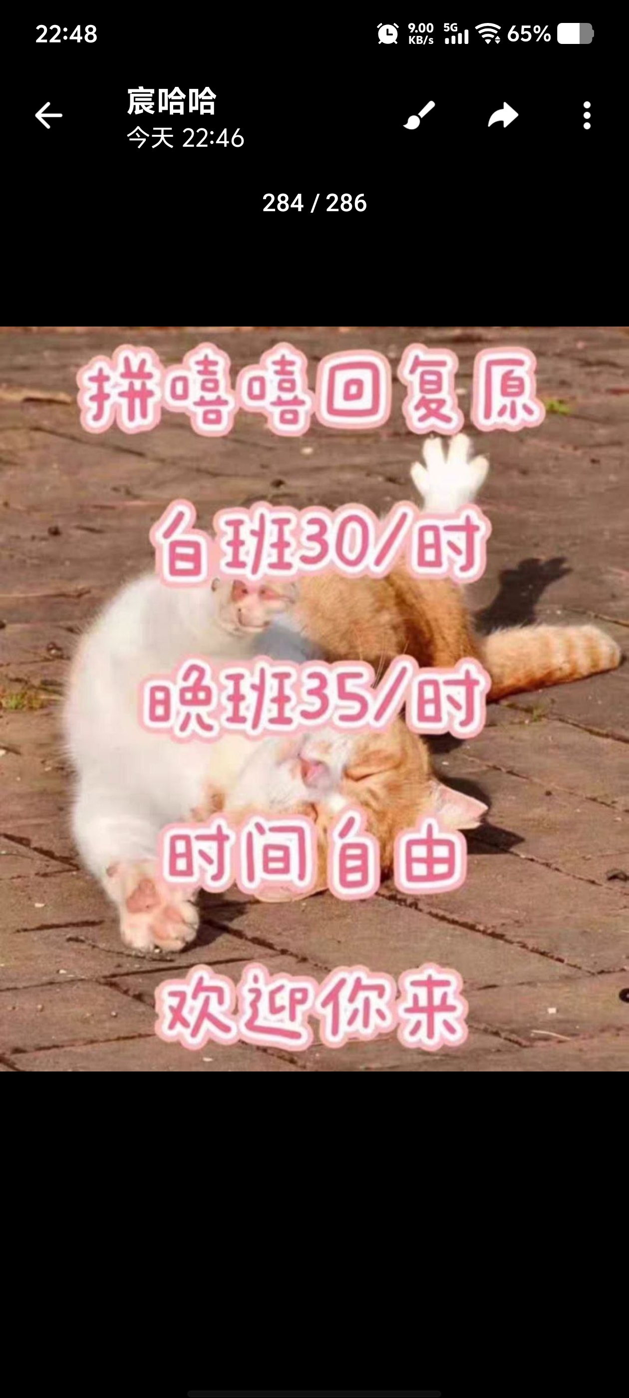 曹先生其他供需线上打字员