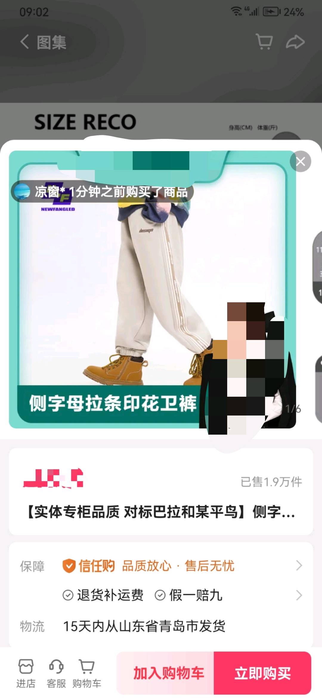 车先生品牌货源