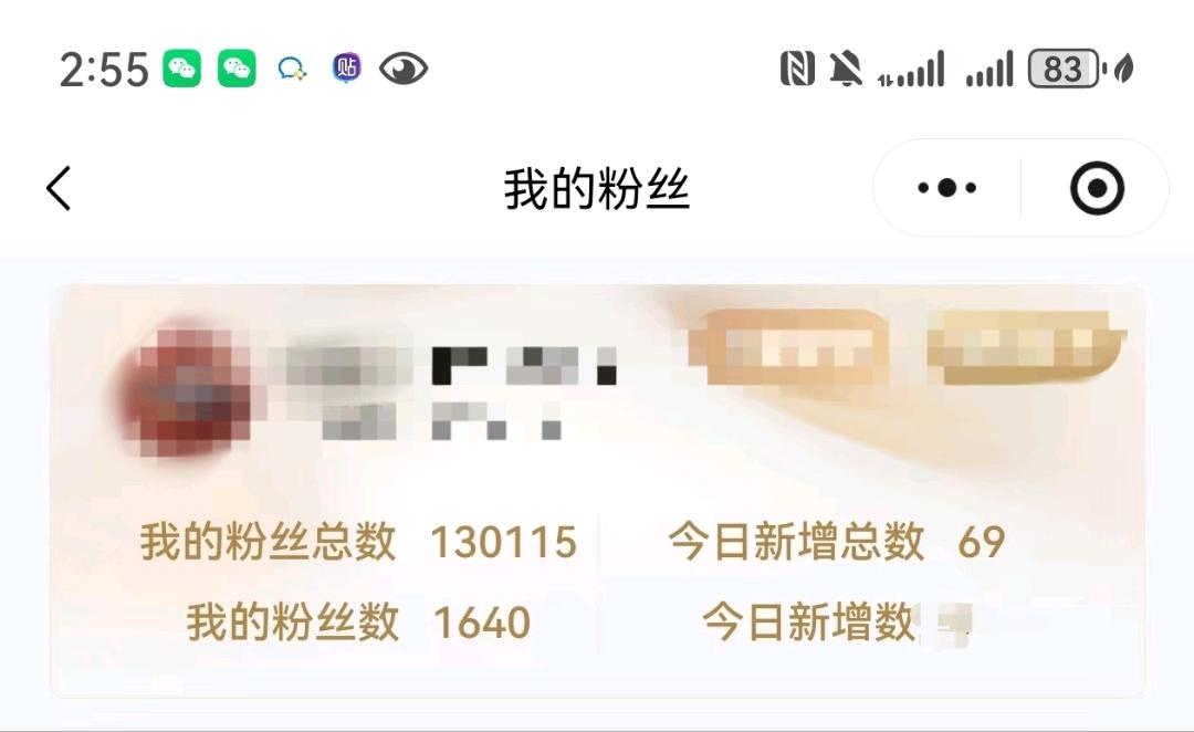 胡先生微信电商推广，线上操作，被动管道收益+团队放大