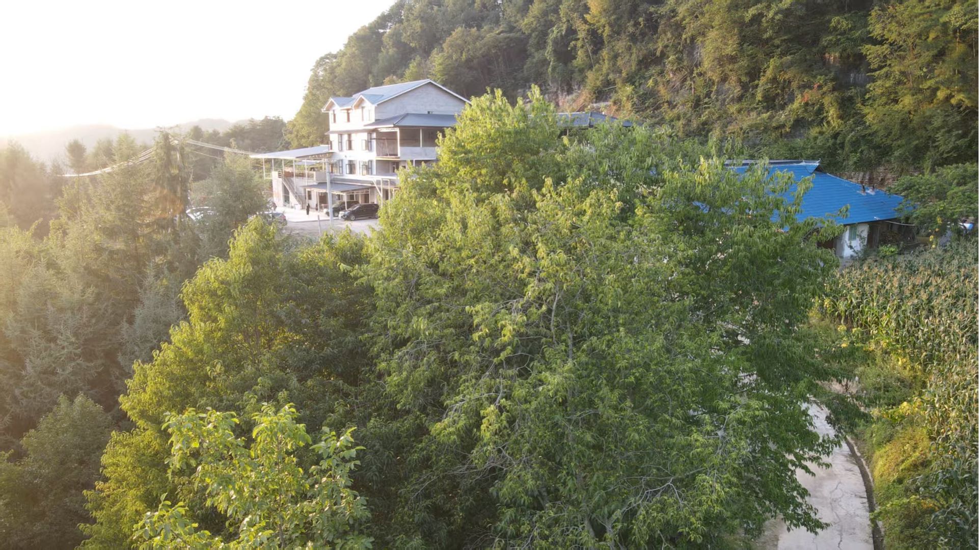 车先生民宿找合伙人，四川广元曾家山