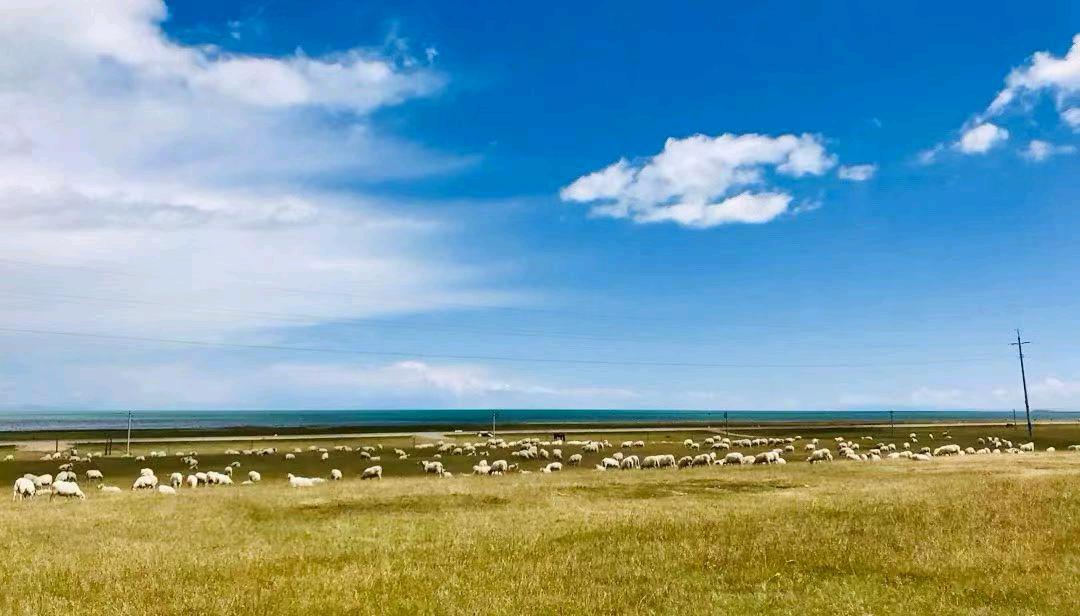 多先生找合伙人