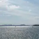 刘先生
