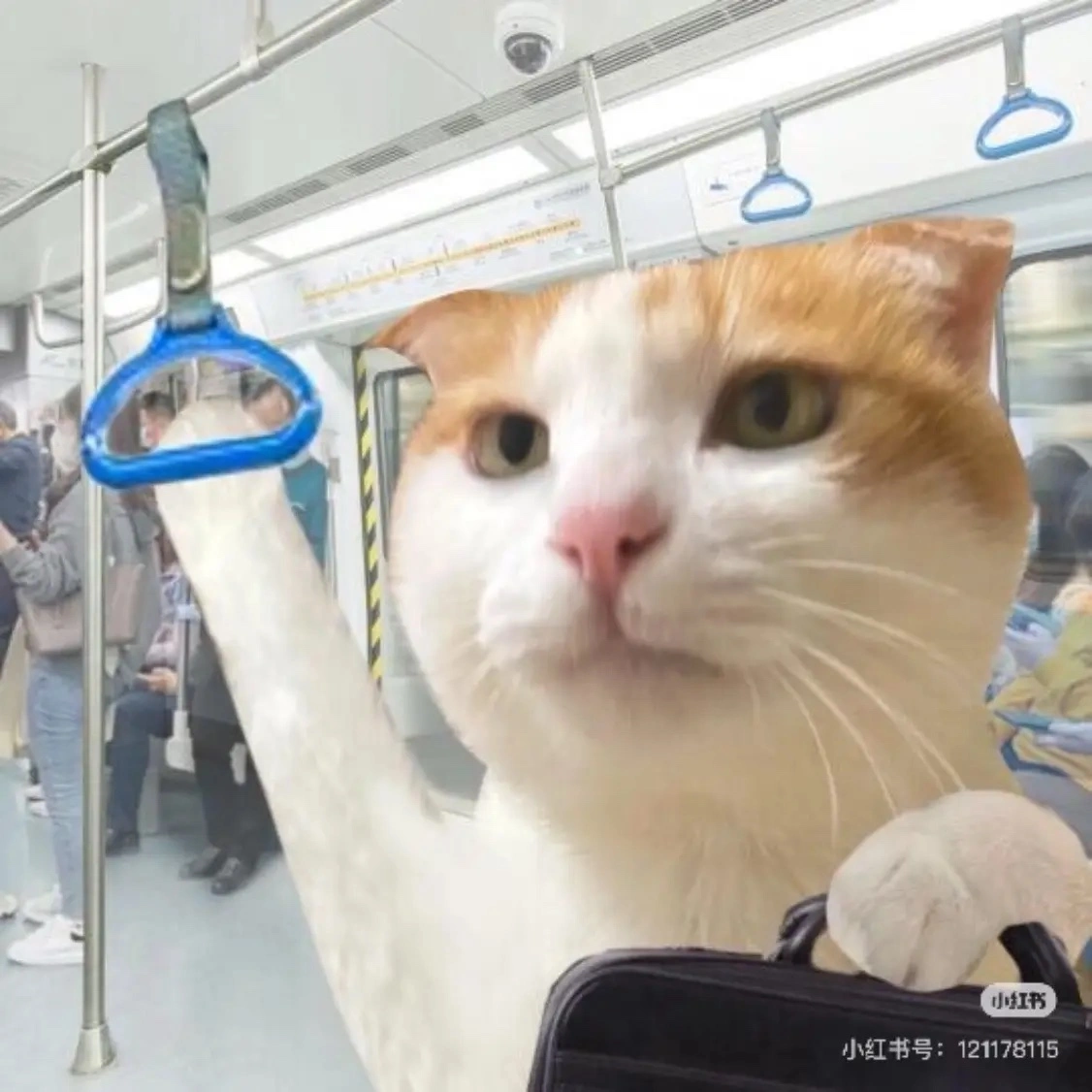 u客直谈实名认证朱曈