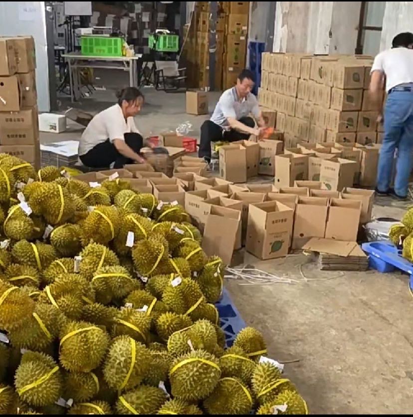陈志发品牌货源各类农副产品，水果原产地一手货源
