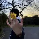 胡庆洋