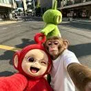 向甜