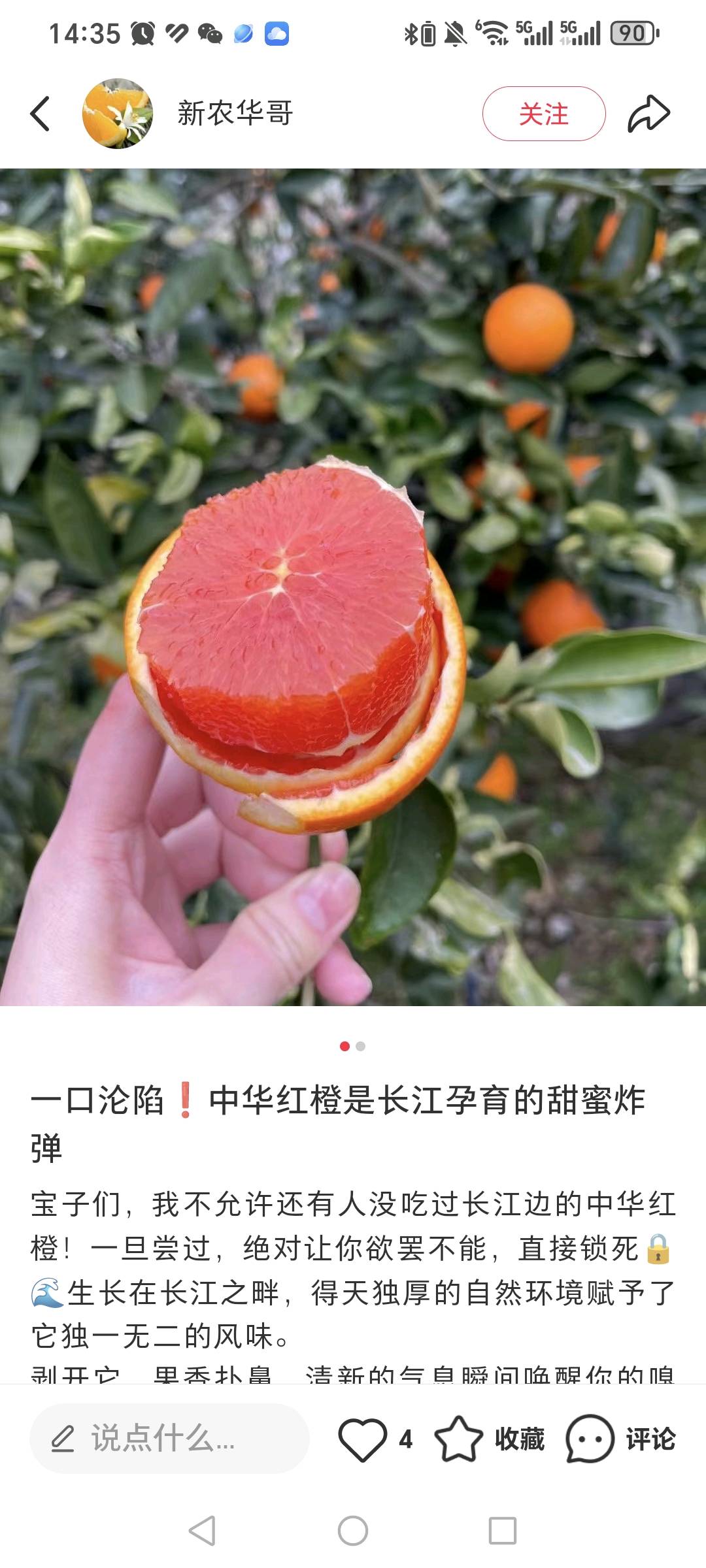 张女士一部手机就能开水果店
