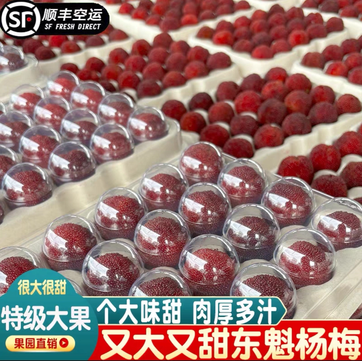 郑迪超品牌货源