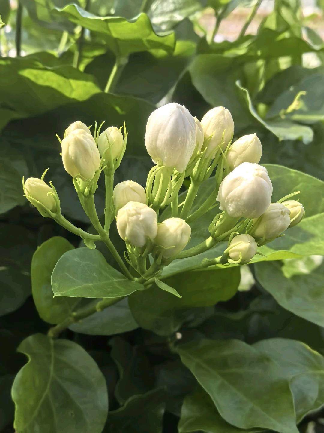 u客直谈实名认证雷女士