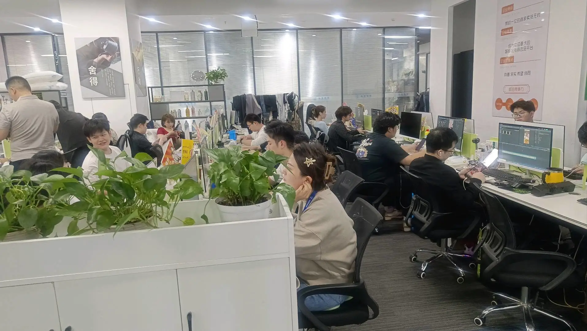 张先生找合伙人