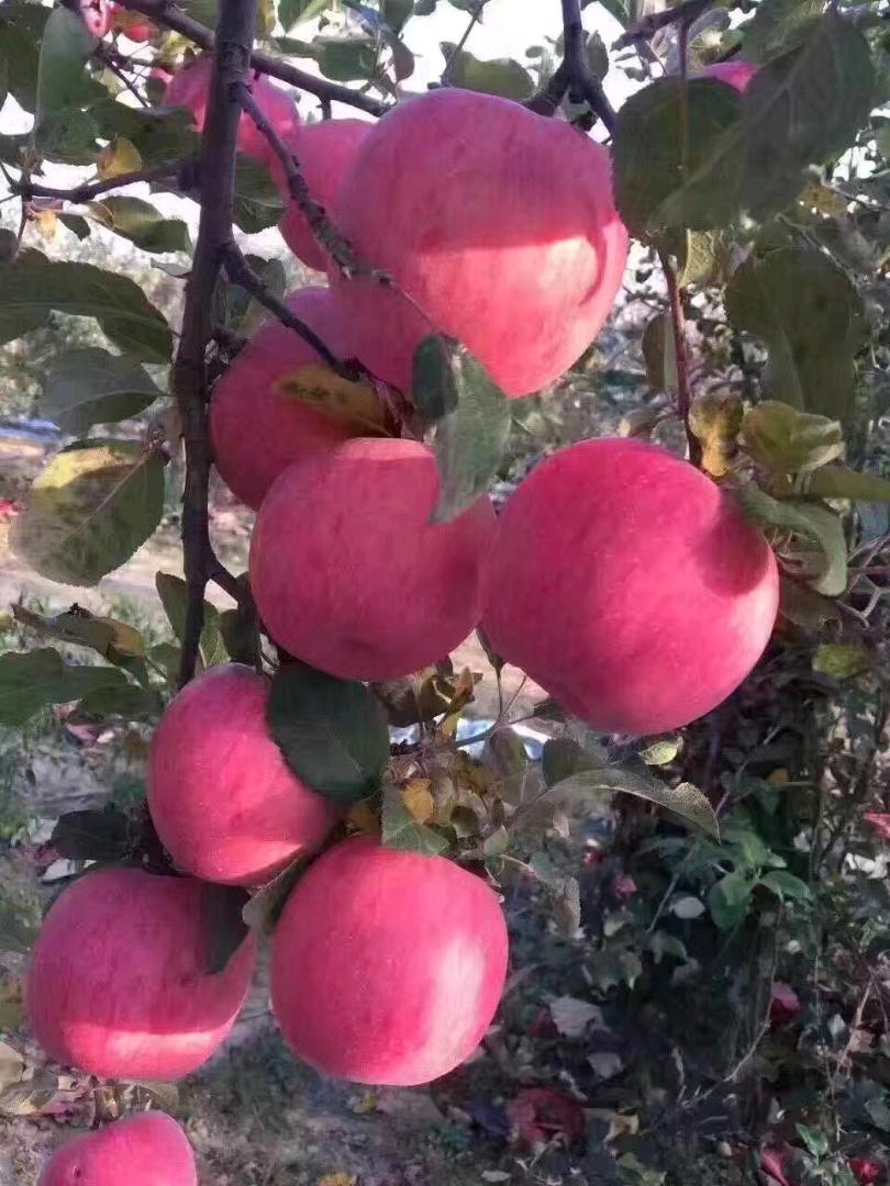 董富平找合伙人寻找一位投资的老板