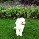 u客直谈实名认证黄先生