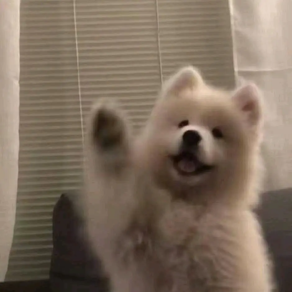 江仰彤