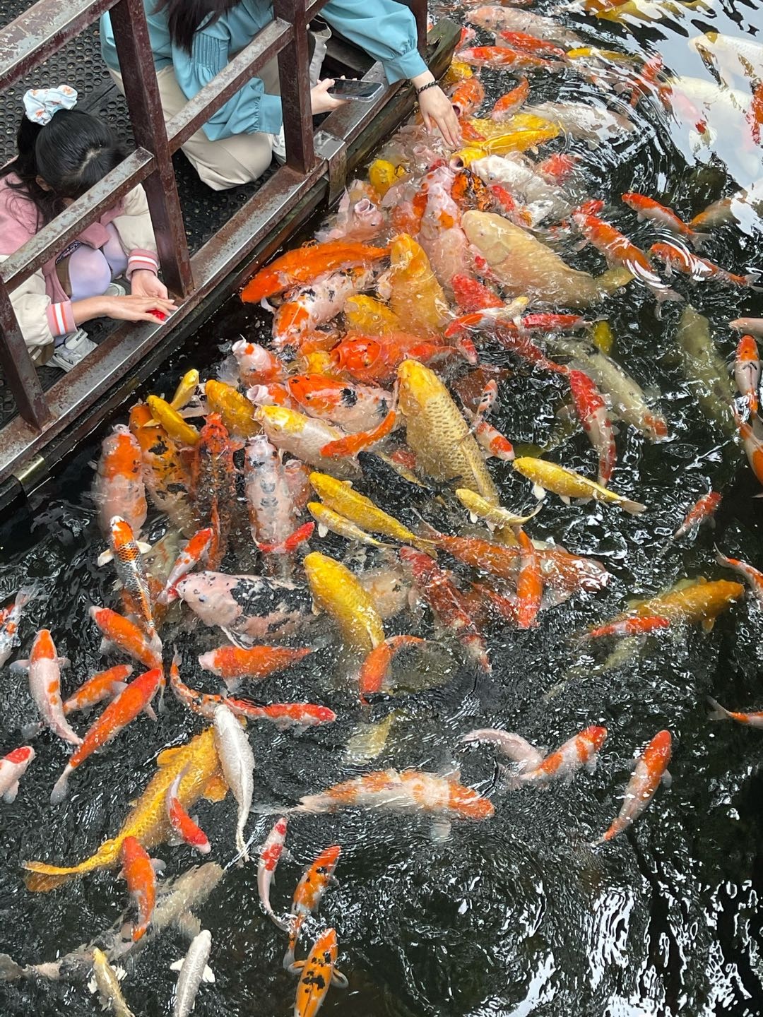 刘志伟找合伙人手机看广告变现，单机20-100+日结，无上限