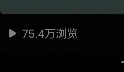 岑女士找合伙人小说推文项目，绿色稳定，独立后台，日结。时间自由，操作简单，可矩阵放大