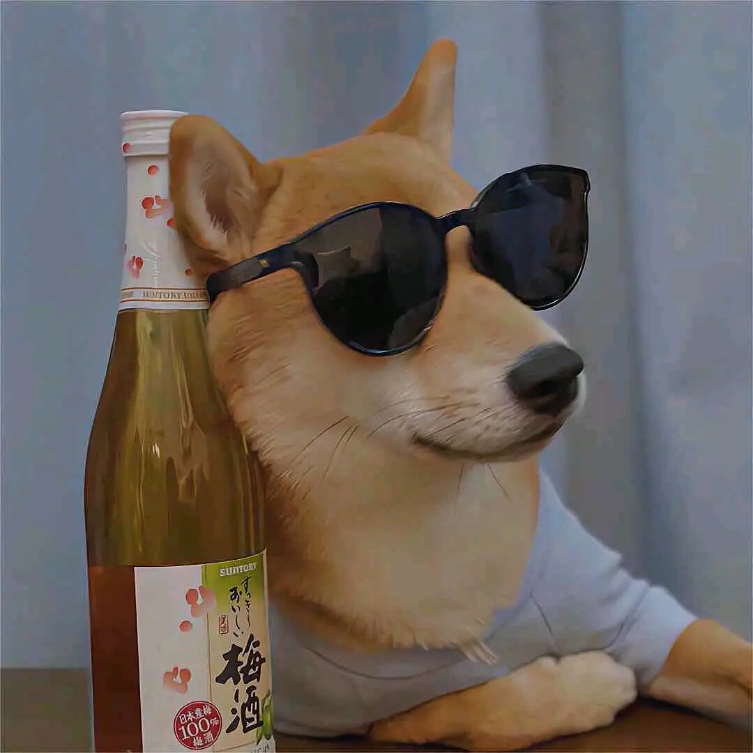 苏先生