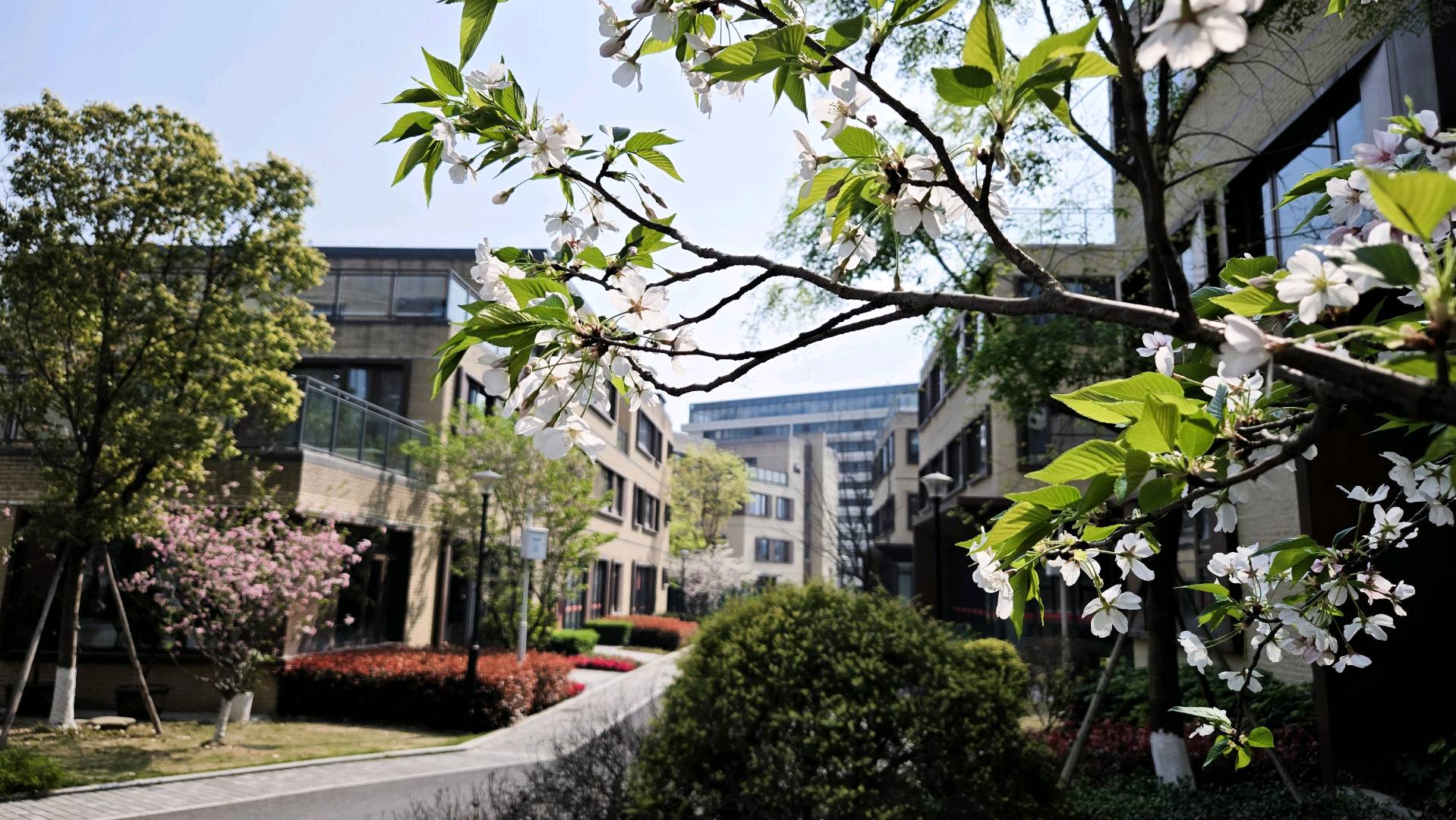孙敬淞找合伙人重庆北碚区万达广场旁提供标准写字楼及独栋写字楼租赁