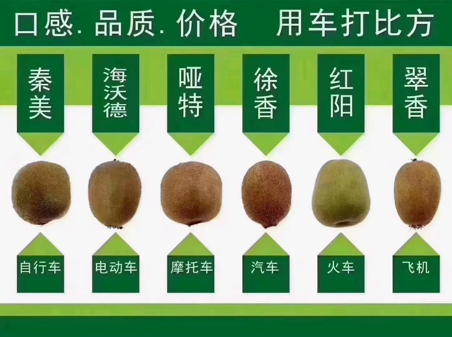 杨女士品牌货源陕西周至猕h桃享誉世界,翠香金福两大优级品种寻找分销商/礼品商