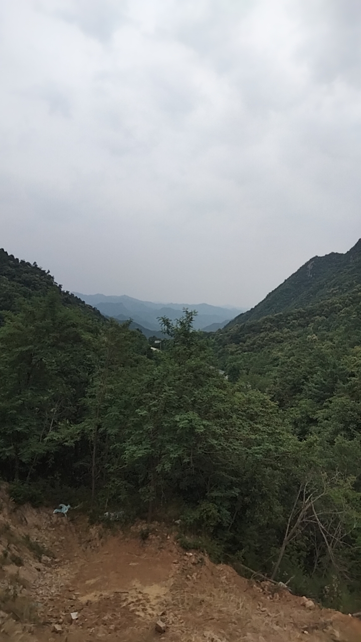 王先生推广团队寻找一手网推，地推，拉新项目