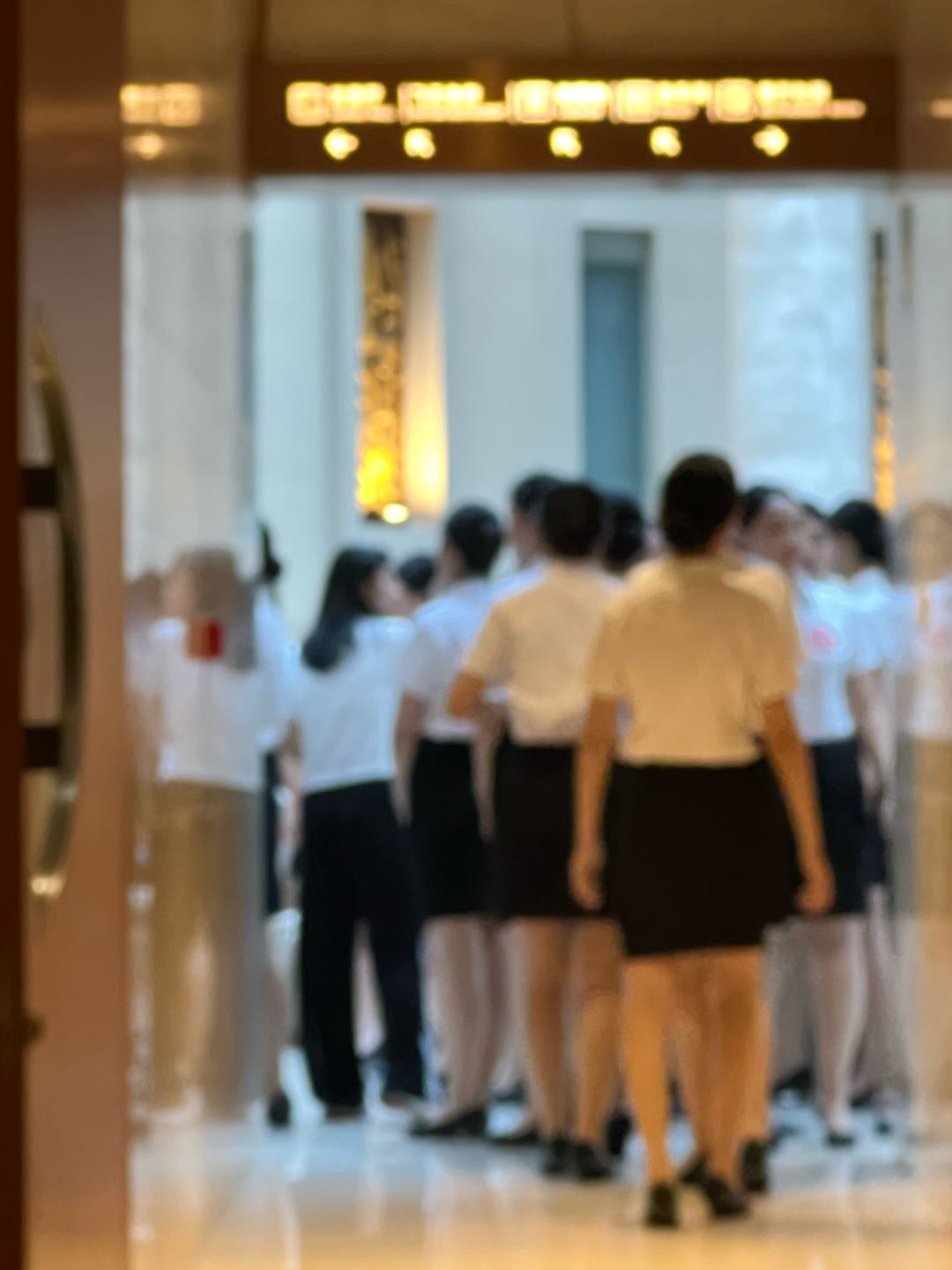 张祥翔其他供需动铁旅服高铁乘务员培训计划，我提供就业资源，您负责招人！