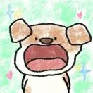 张先生