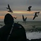 陈江云