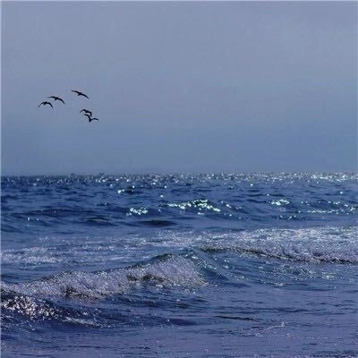 u客直谈实名认证黄先生