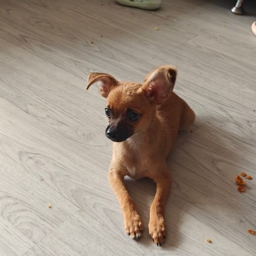 u客直谈实名认证曹先生