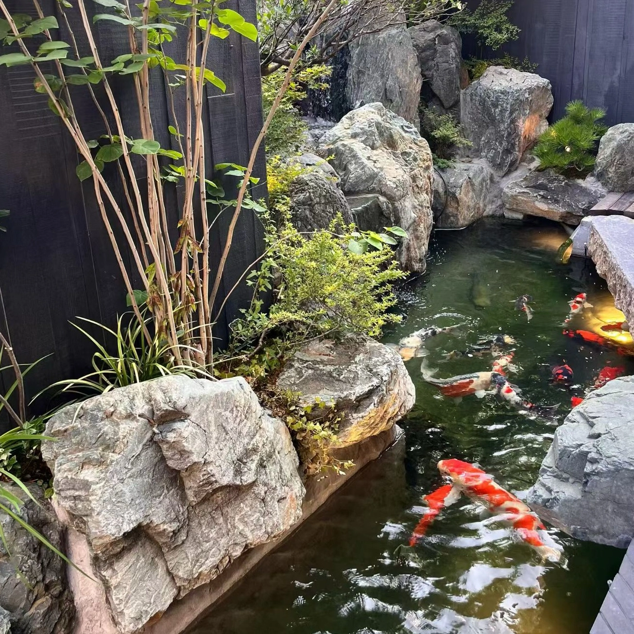 u客直谈实名认证张先生