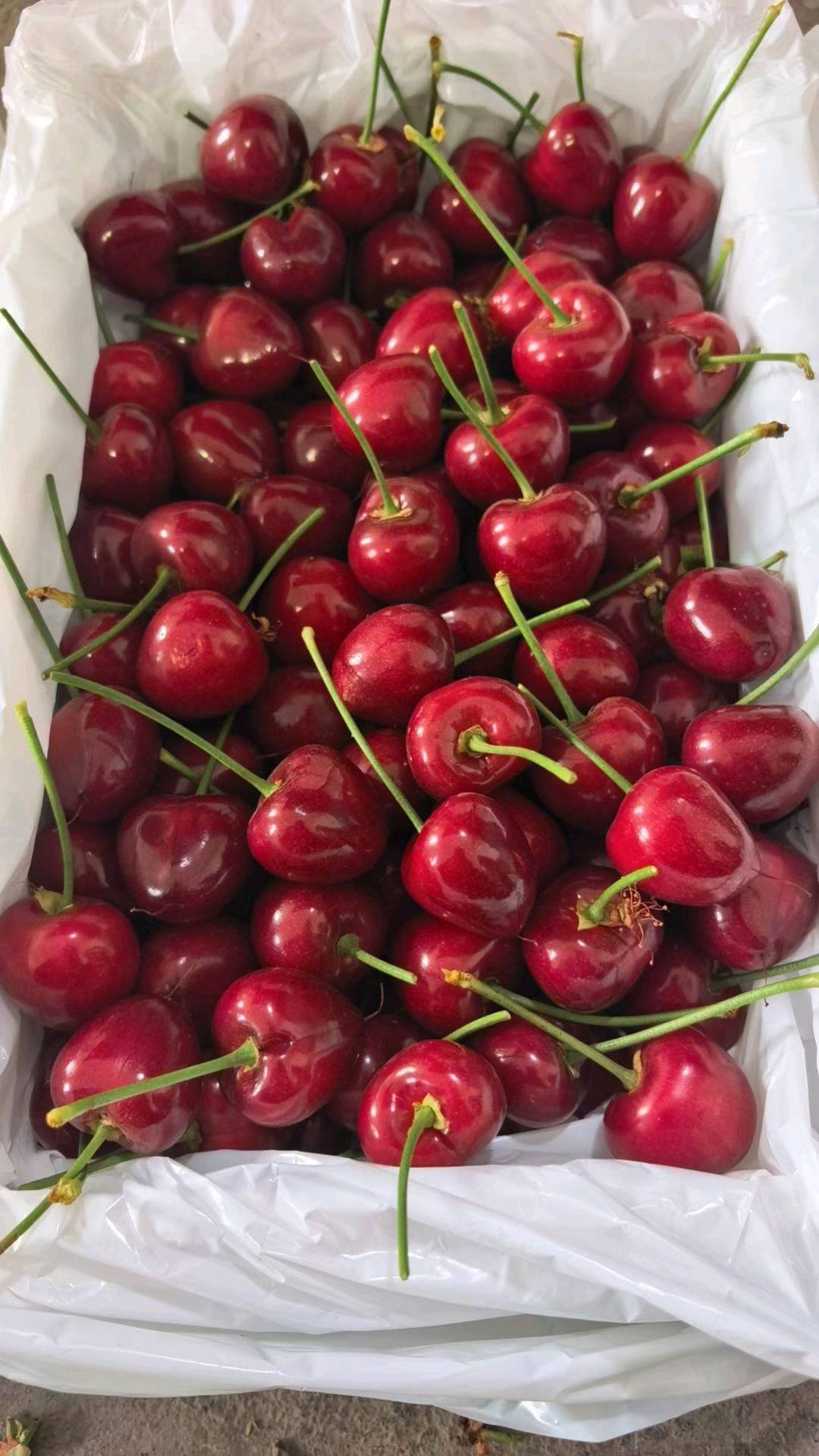 李珍品牌货源一件代发社区团购