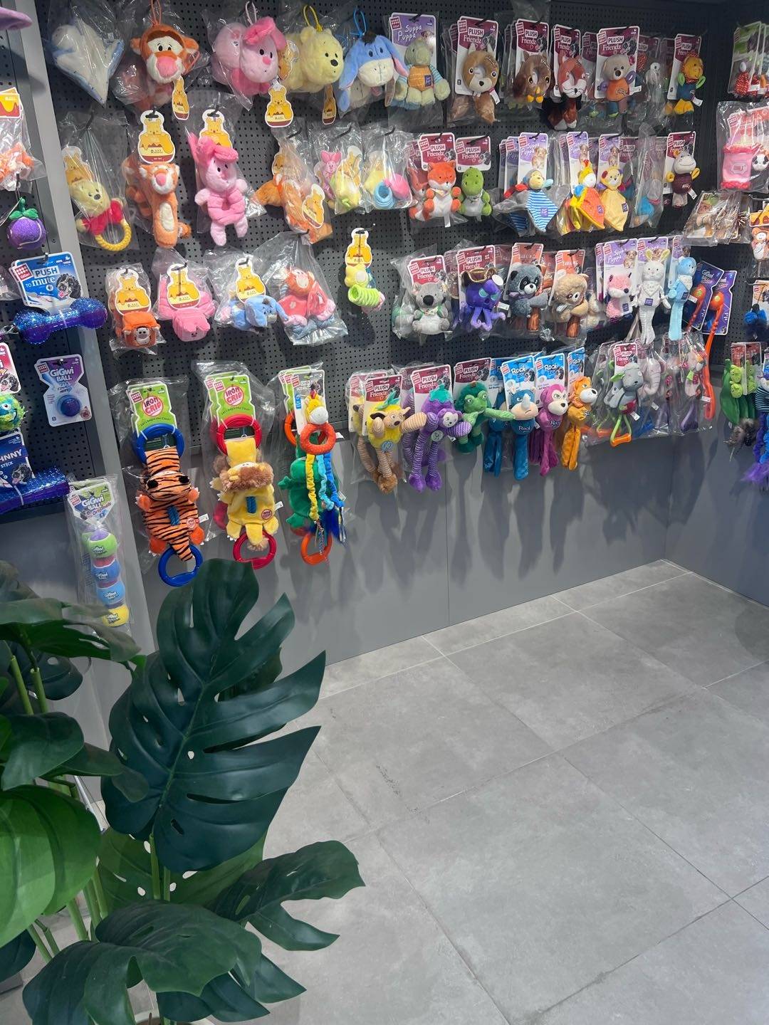 林先生品牌货源宠物供应商合作，支持一件代发，包运营选址，资质齐全