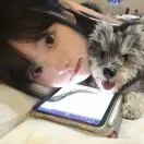 程书萍