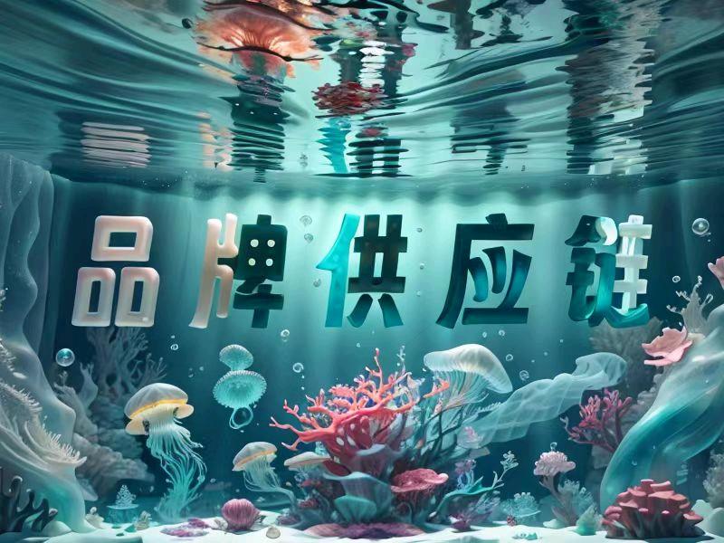 周先生品牌货源0.2折包包，0.3折手表，0.5折珠宝头部品牌供应链全国零门槛合作