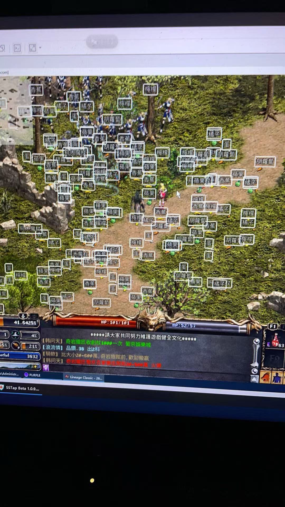 李玉玲找合伙人提供全自动软件与技术支持，寻找个人或工作室合作，单电脑月收益稳定可观