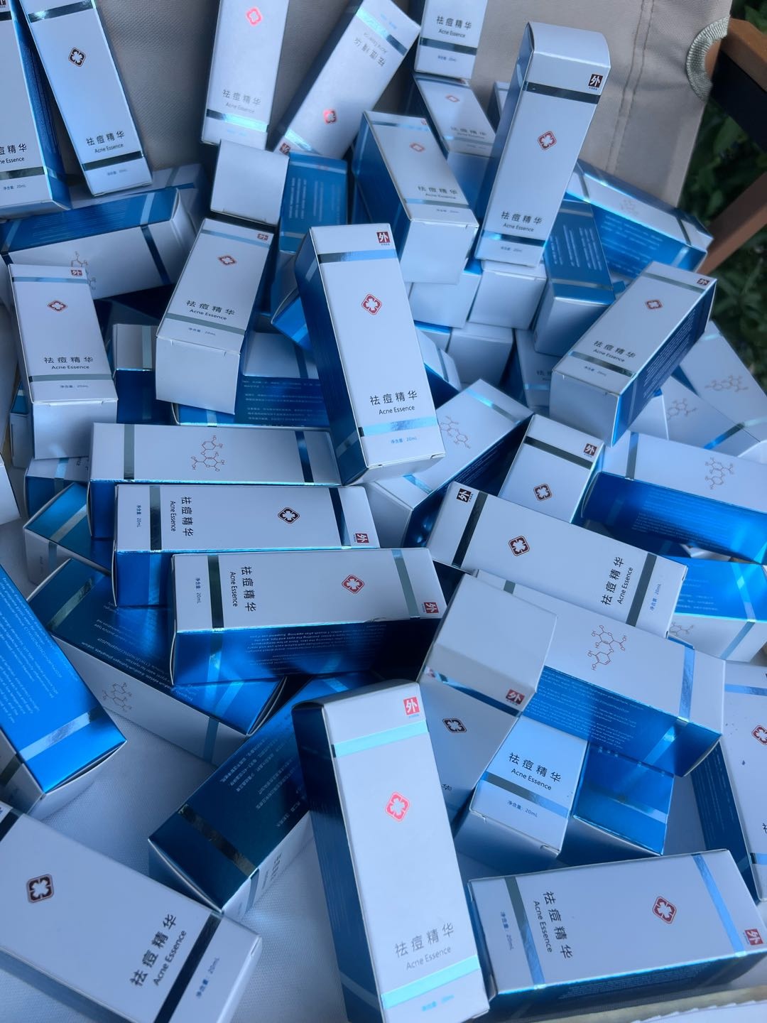 普红菊品牌货源